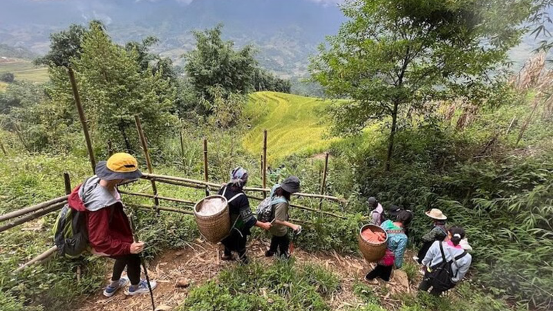 Hành Trình Khám Phá Làng Ẩn Sa Pa (3)